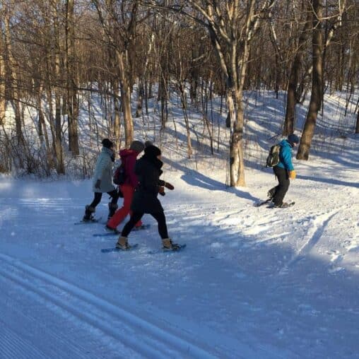 A fun activity in the city is to explore Mount Royal Park on snowshoes.