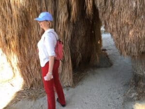 Above the fault line, an oasis has sprung up.