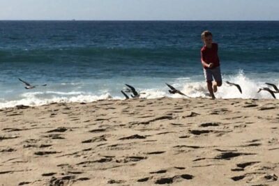 Aliso Beach County Park, Laguna Beach, California.