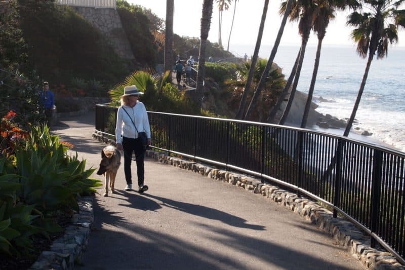 Walking path right next to the ocean in Laguna Beach.