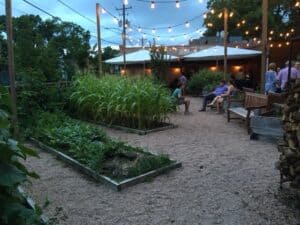 The kitchen garden at Coltivare is extensive, they even grow corn!