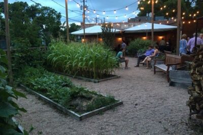 The kitchen garden at Coltivare is extensive, they even grow corn!