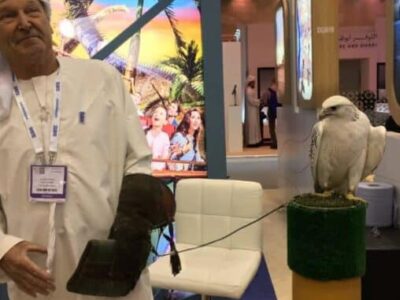 A falcon and his handler in the Dubai stand at WTM, London.
