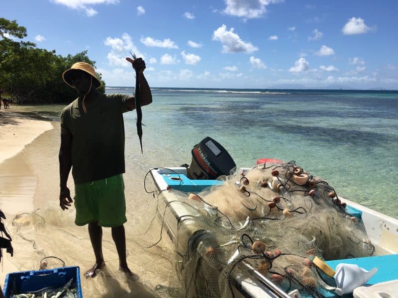 A fisherman shows off some of the bait fish they caught in their net.