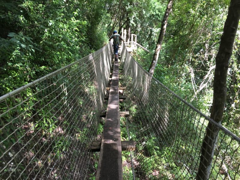A walkway in the Antigua Rainforest canopy zip-line.
