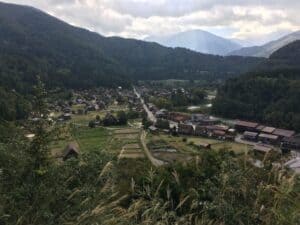 Moving Forward as Grandkids Brighten my Weekend