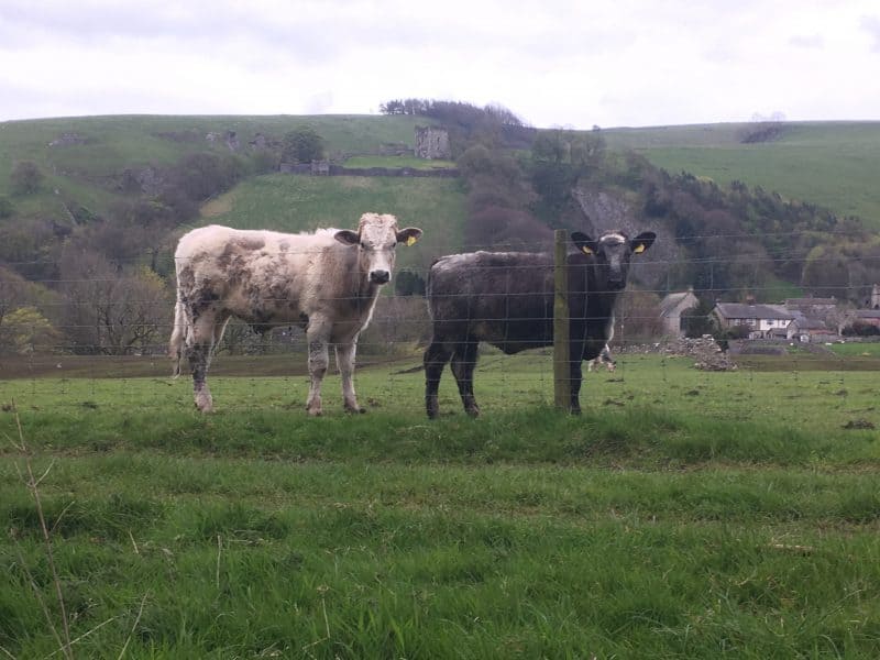 The Peak District: Stunning Countrysides and Vistas