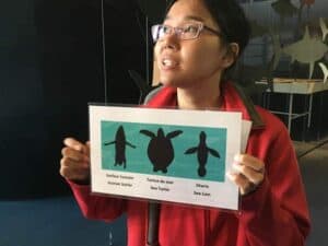 Gaspesie, Quebec: Natural and Untouched