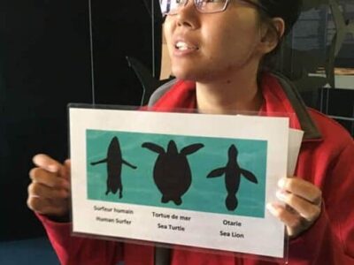 Rosalie, the guide at Exploramer, shows us what people, turtles and fish look like from the eyes of a shark.