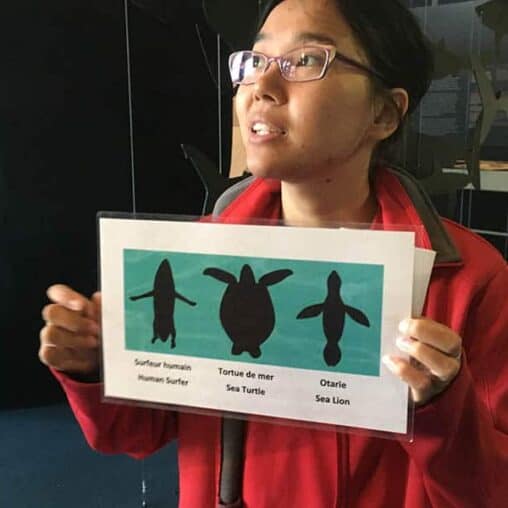 Rosalie, the guide at Exploramer, shows us what people, turtles and fish look like from the eyes of a shark.