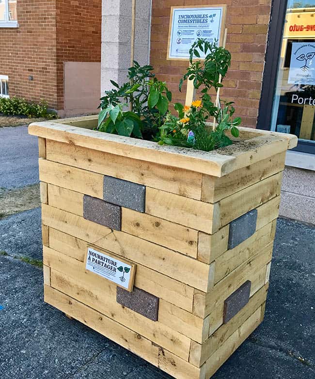 These wooden boxes containing vegetable plants were placed all over the city, people can take what they want from the harvest.