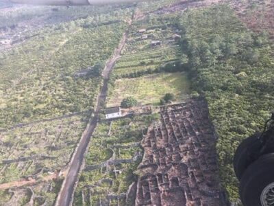 Fences made with volcanic rock surround all of the vineyards in Pico.