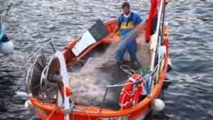 Long Beach, Palm Springs and Laguna Beach, Great Spots for a California Getaway!