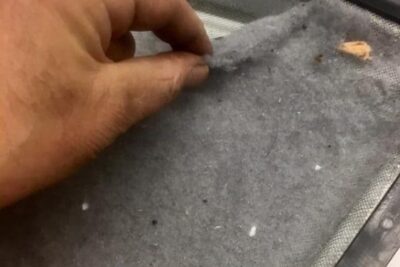 lint