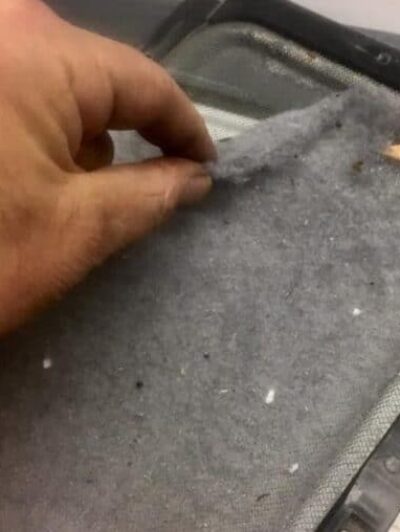 lint