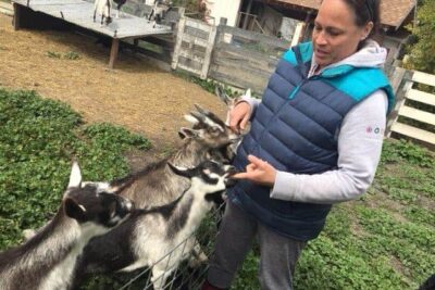 goats at Harley Farms, Pescadero, CA