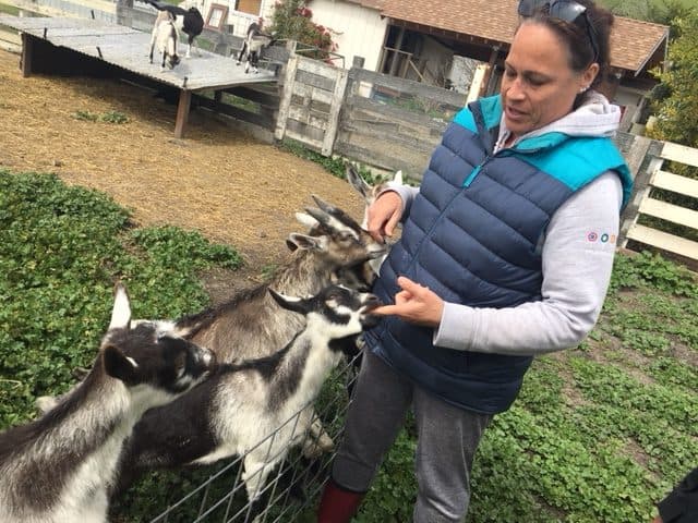 Goats Make Life Better at Harley Farms