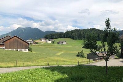 view