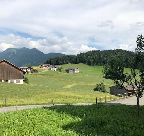 view