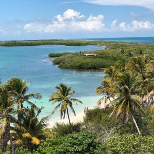 Isla Contoy, Quintana Roo