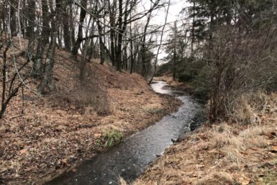 Bedens Brook
