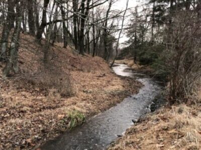 Bedens Brook