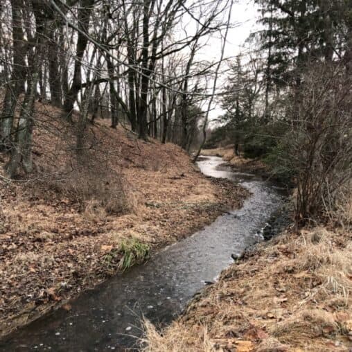 Bedens Brook