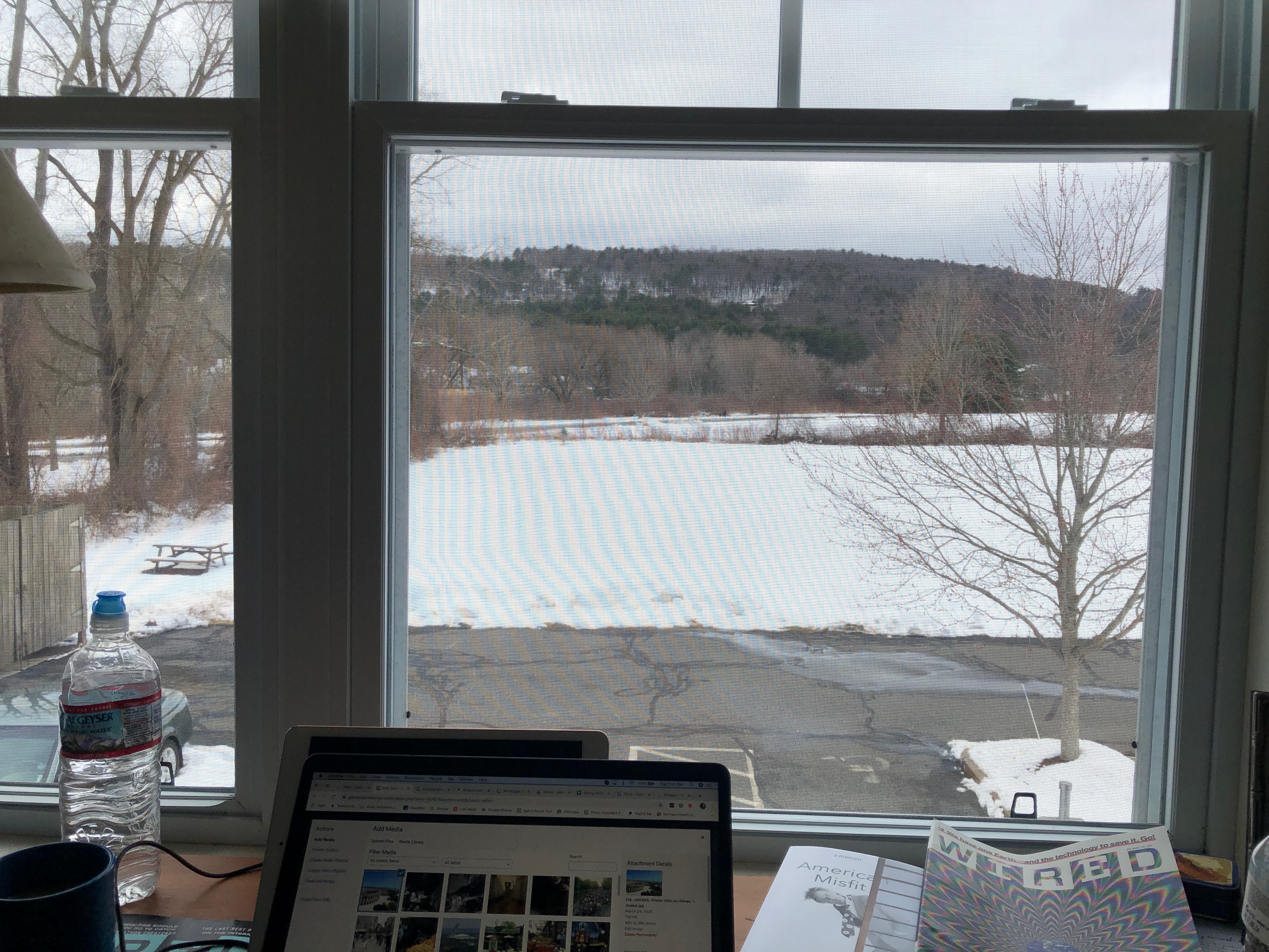 My temporary office view at my partner Mary's house. Life in the lockdown. Nice view, huh?