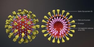 Life in the Age of Cholera, er, Coronavirus