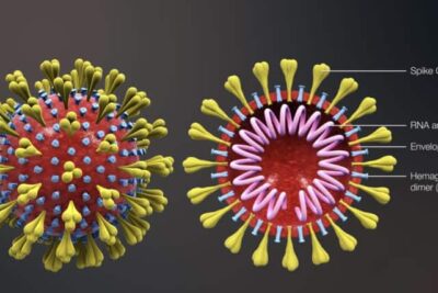coronavirus