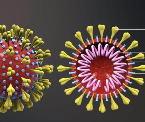 coronavirus