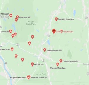Pandemic Journal: Week Four, a Walk in the NH Woods