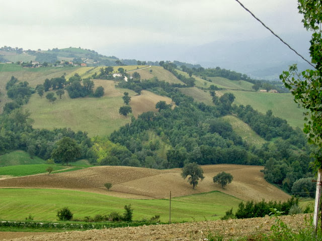 View from the house we rented with my parents in Le Marche, Italy, in 2005.