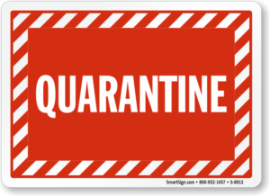 Disappointing Myself During the Quarantine