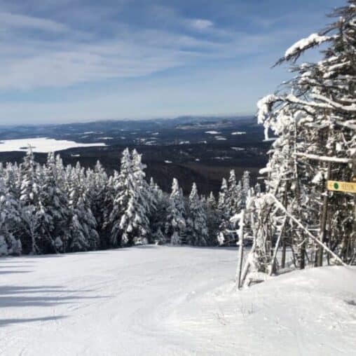 Saddleback Maine