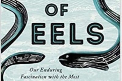 Book of Eels