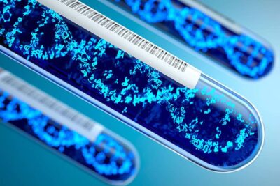 How mRNA Works