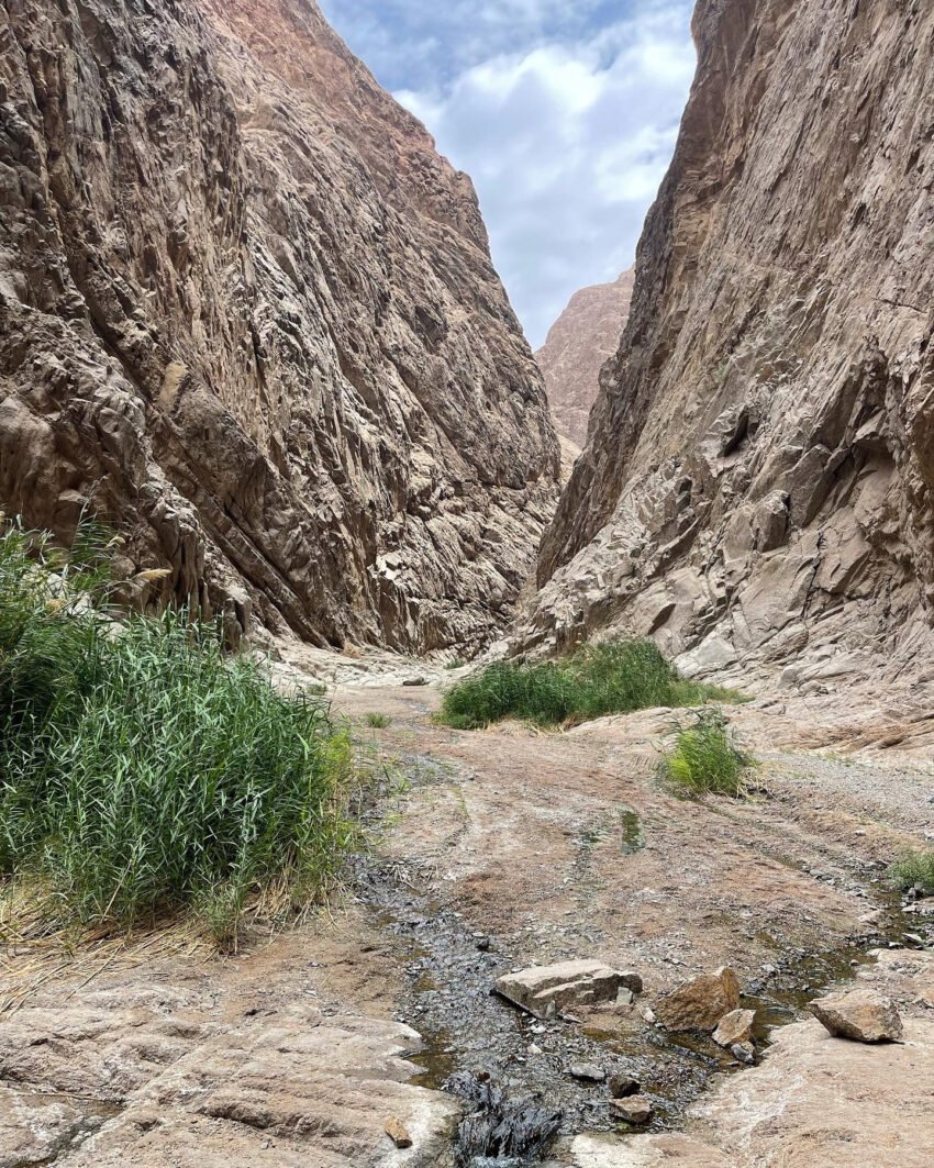 The towering cliffs of Wadi Al Tayyib Ism.