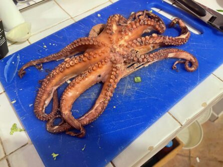I boiled this octopus from the local market in Ventimiglia and grilled it on the stove, it was most tasty!
