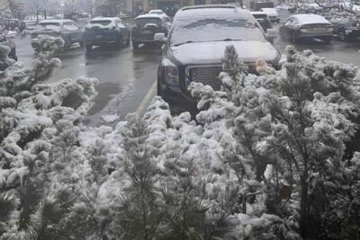snowday